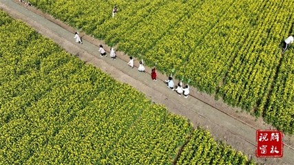 薯香飄千里 2025年焦作市麥田里田園綜合體項目引領(lǐng)薯類銷售新篇章